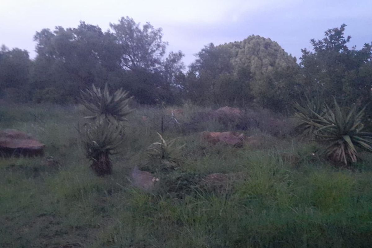 Vacant Land PLOT For Sale in Pretoria North, Pretoria - Photo 3