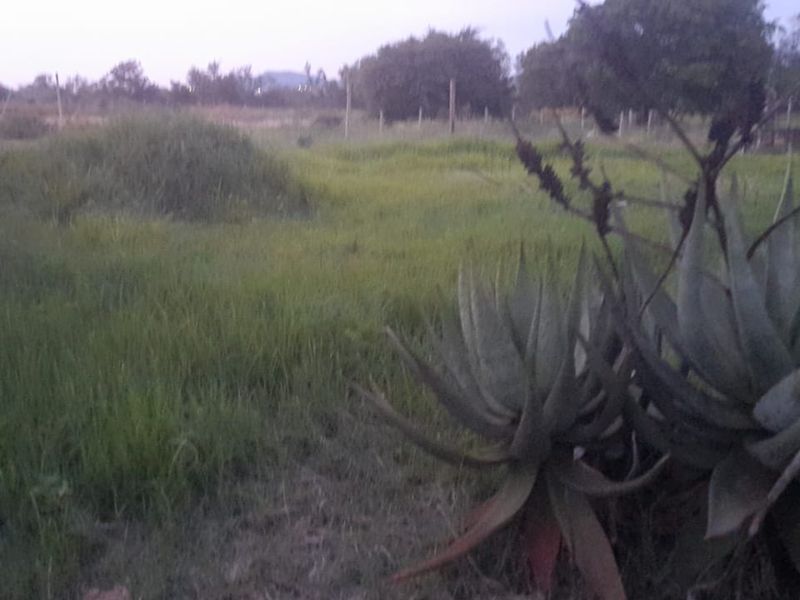 Vacant Land PLOT For Sale in Pretoria North, Pretoria - Photo 2
