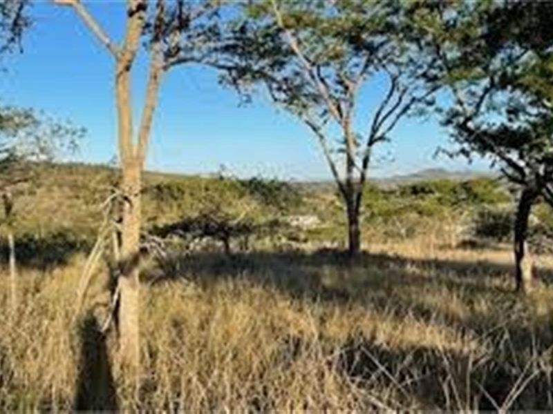 Vacant Land For Sale in Wild Fig Country Estate, White River - Photo 9