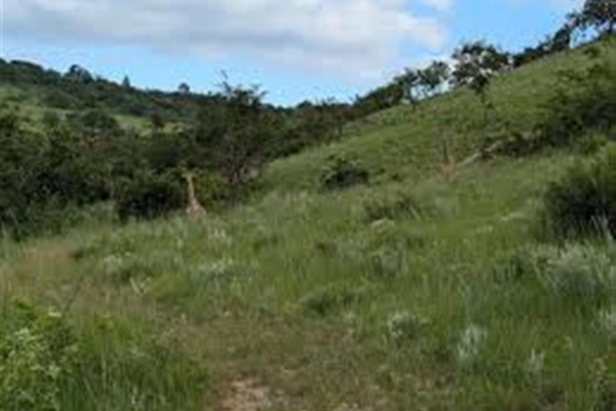 Vacant Land For Sale in Wild Fig Country Estate, White River - Photo 5