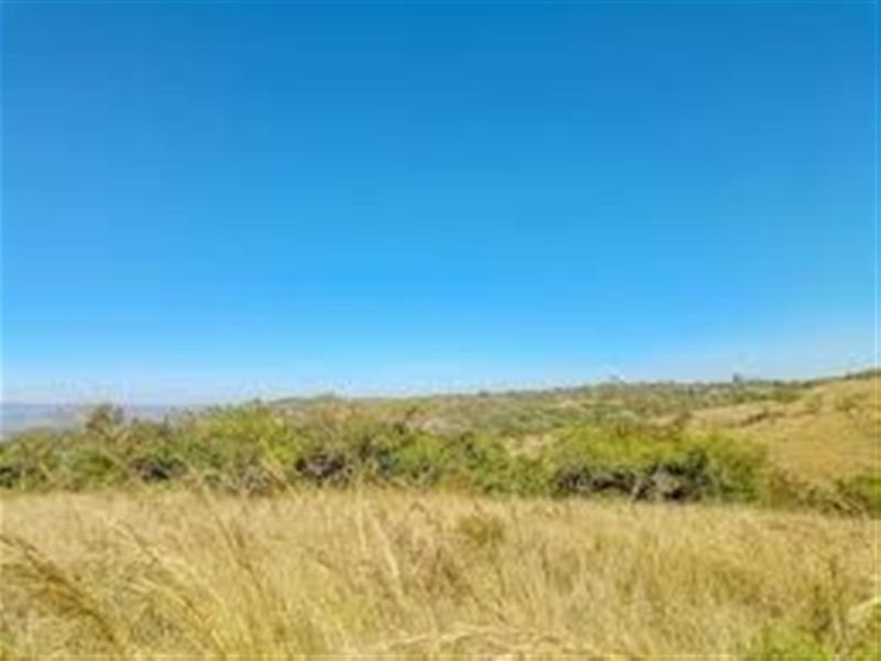 A wide-angle view of the vacant residential land, showcasing the natural landscape and surrounding vegetation.
