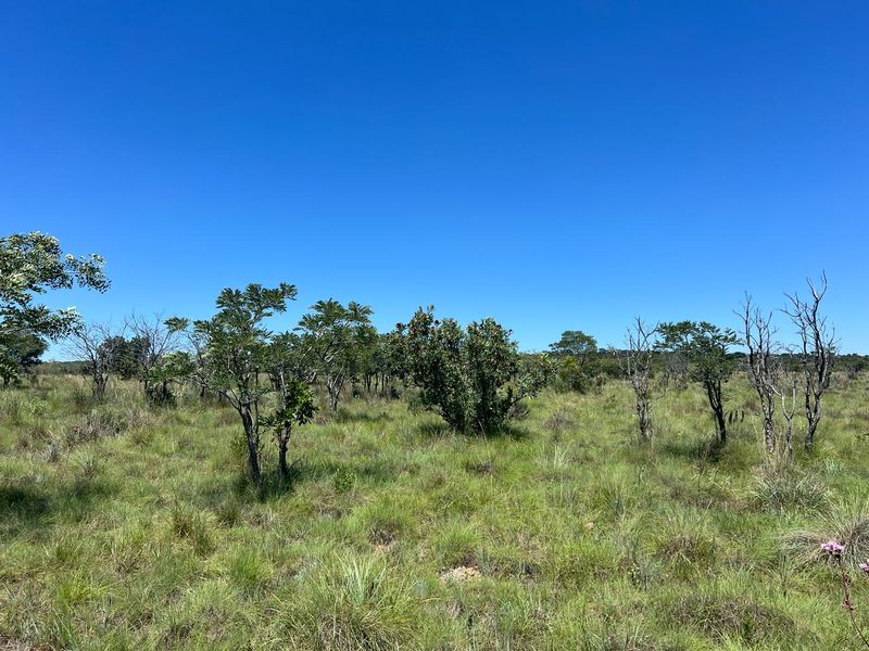 Farm For Sale in Cullinan - Photo 3