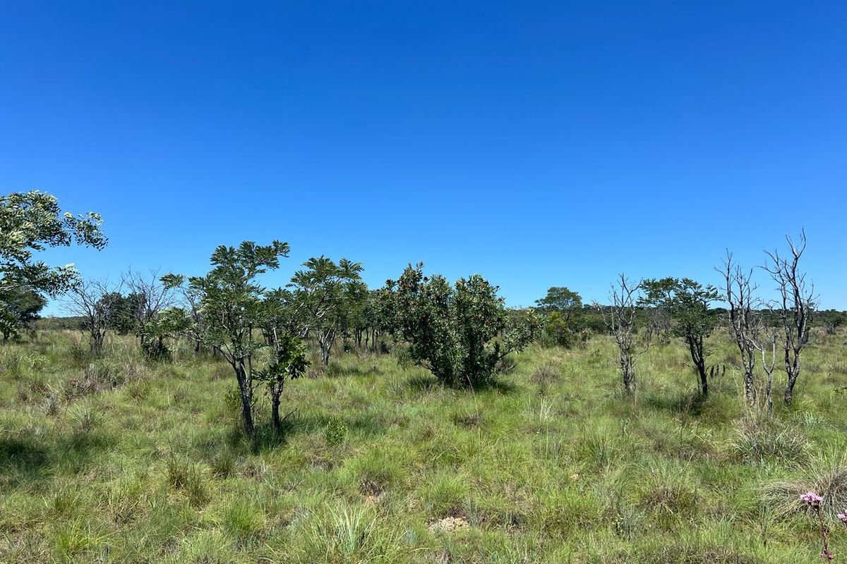 Farm For Sale in Cullinan - Photo 3