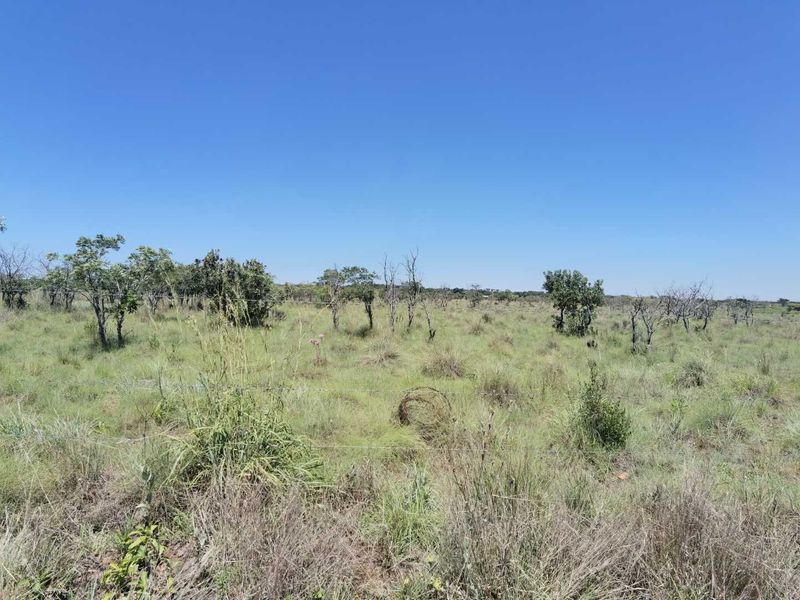 Farm For Sale in Cullinan - Photo 2