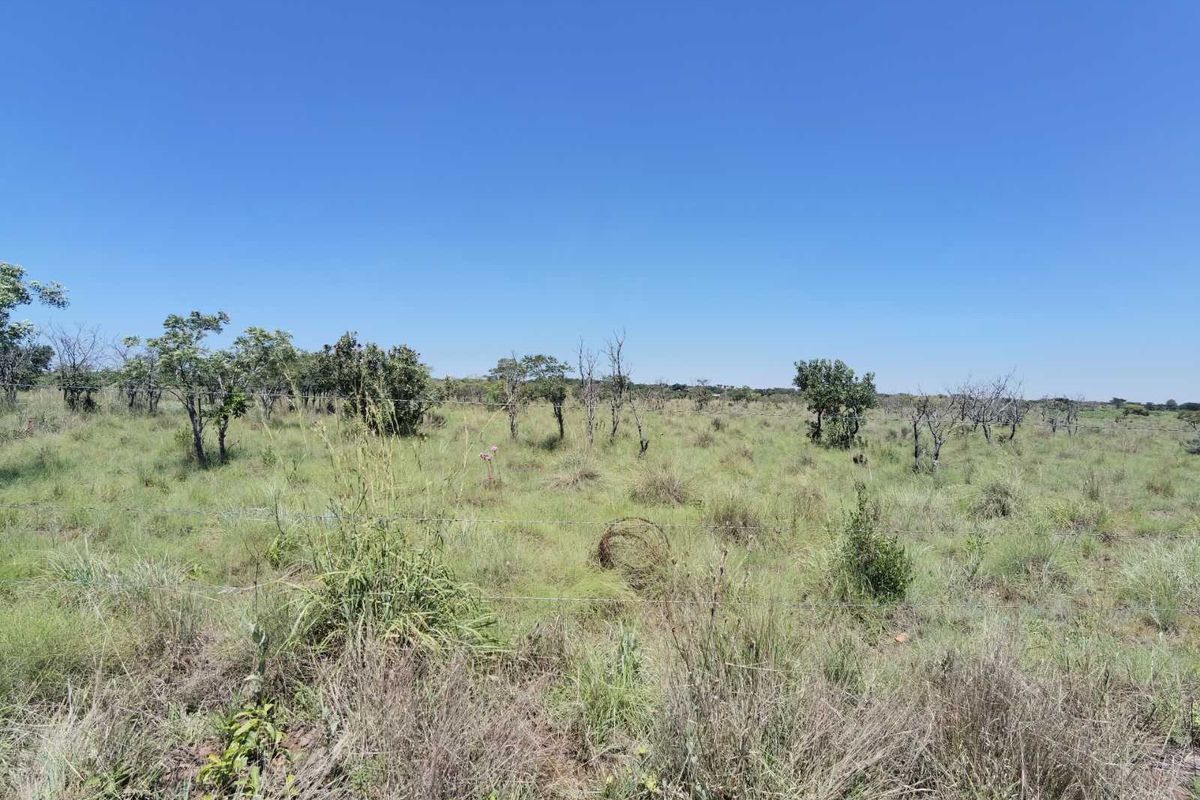 Farm For Sale in Cullinan - Photo 2