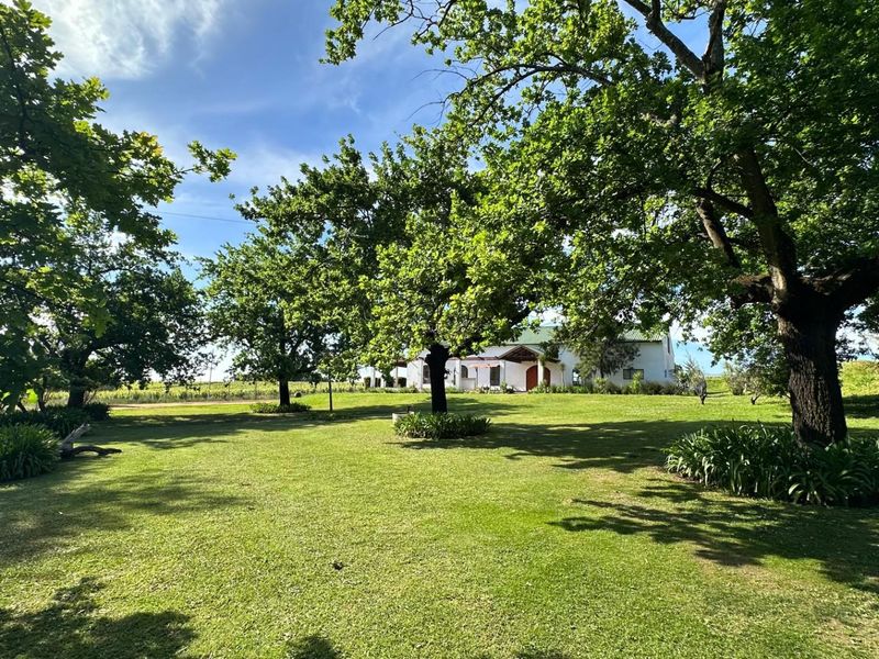 Exclusive Winelands Estate for Sale in Paarl - Photo 4