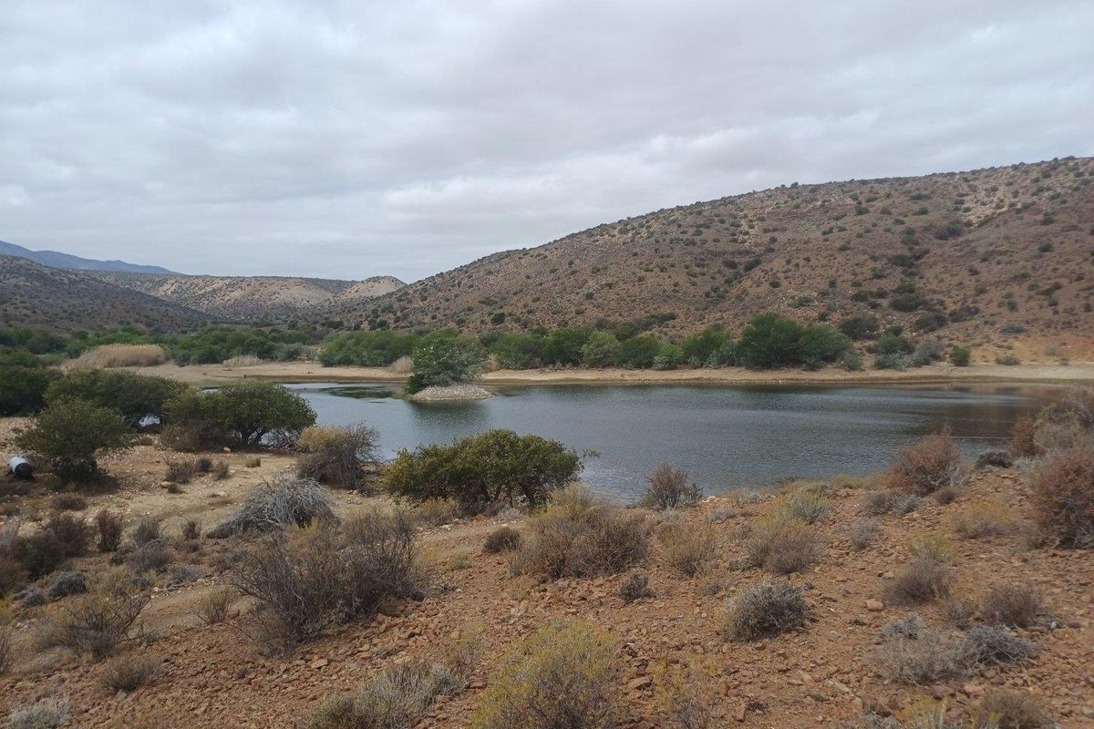 A scenic view of a natural dam and surrounding arid landscape on the farm property.