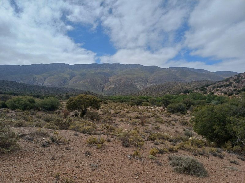 A scenic landscape view showcasing the natural terrain and mountain range on the farm property.