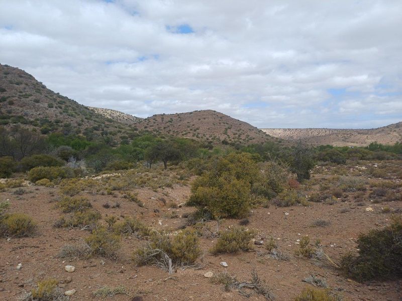 Expansive rural landscape view featuring natural vegetation, rolling hills, and open terrain typical of the farm property.