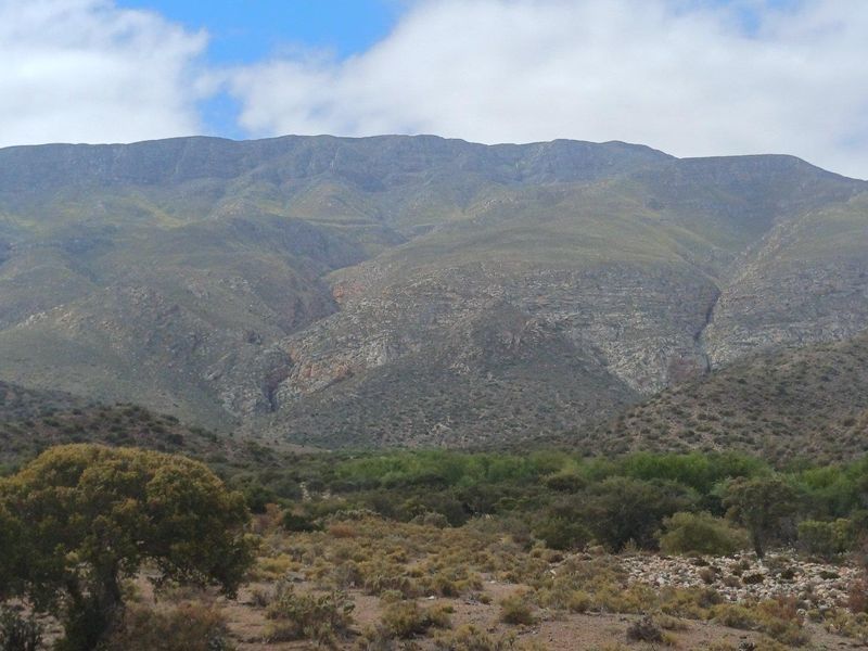 Farm For Sale in Ladismith Rural, Ladismith - Photo 1