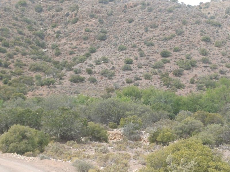 Farm For Sale in Ladismith Rural, Ladismith - Photo 10