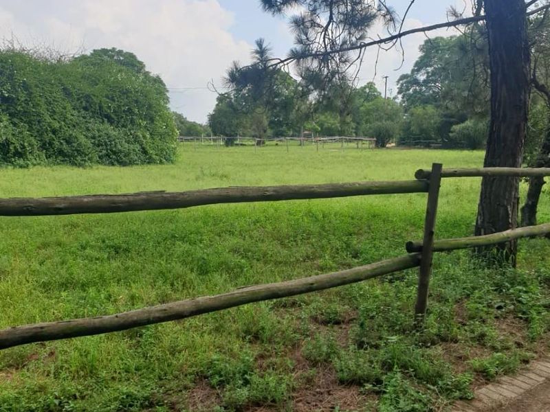 Nooitgedacht Land Assembly - Photo 9