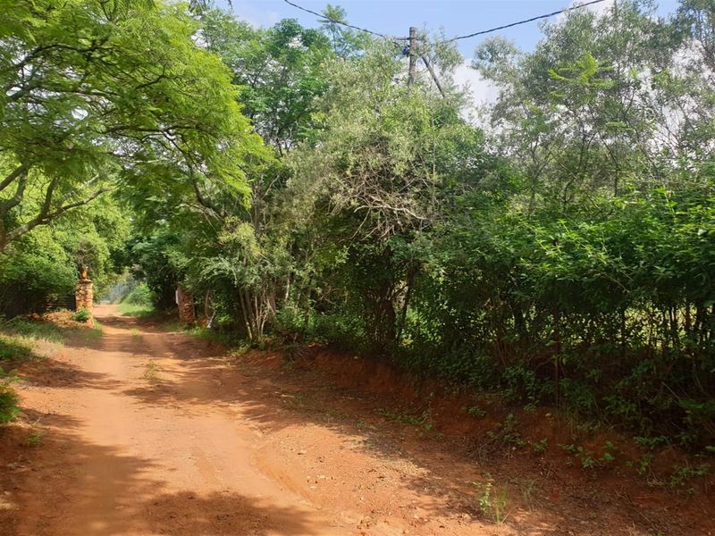 Nooitgedacht Land Assembly - Photo 8