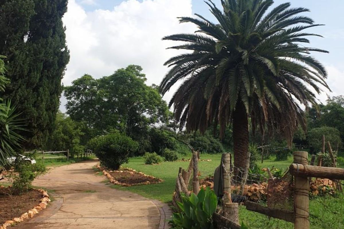 Nooitgedacht Land Assembly - Photo 4