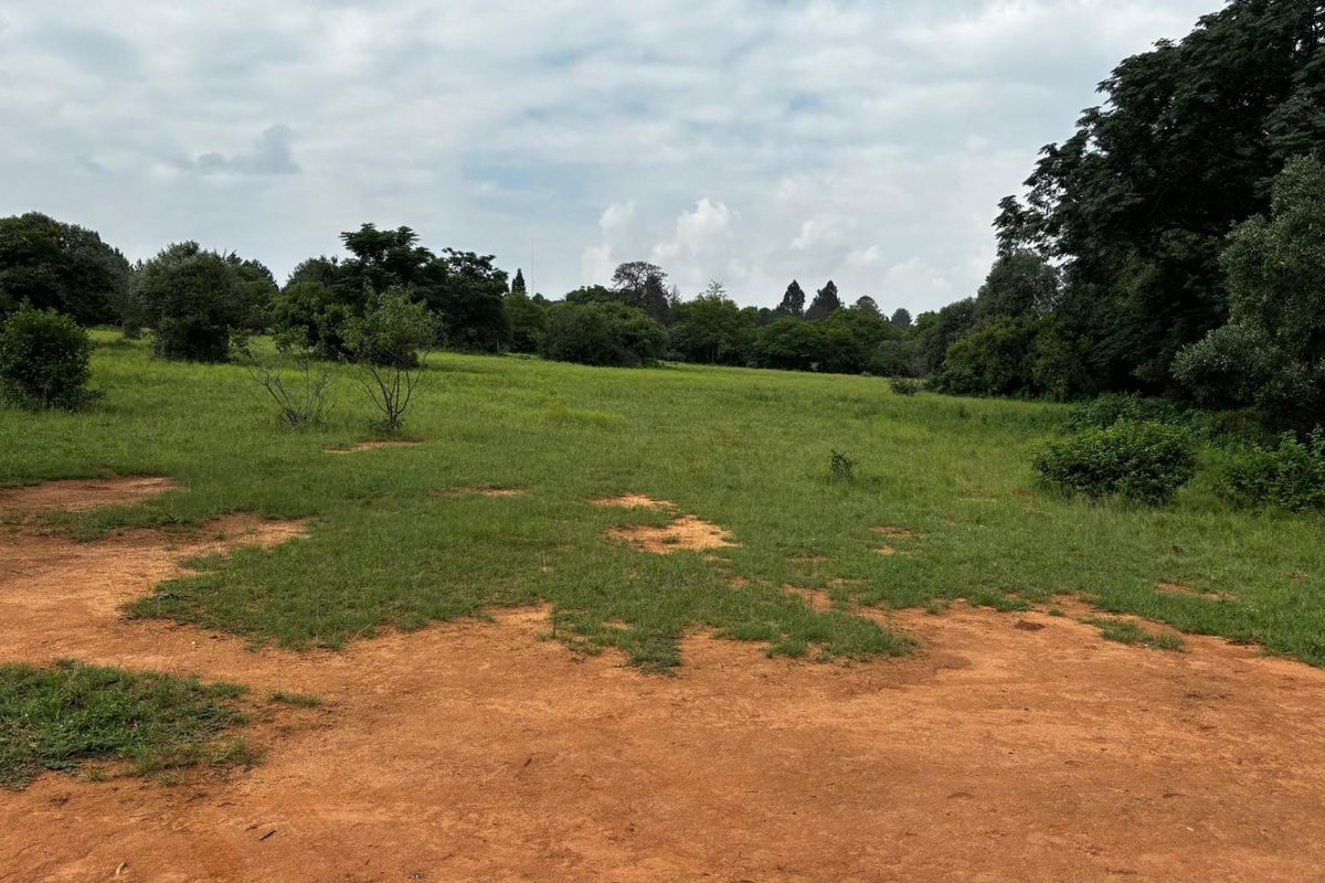 Nooitgedacht Land Assembly - Photo 2