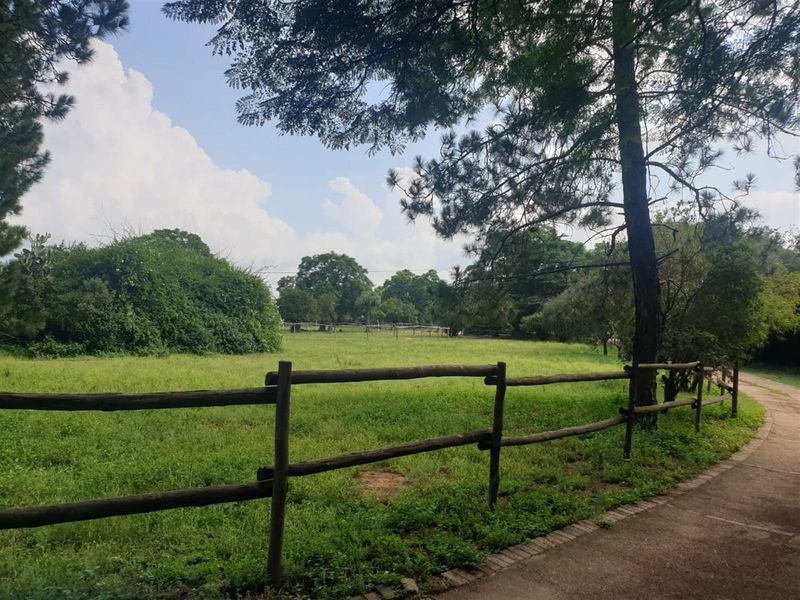 Nooitgedacht Land Assembly - Photo 5