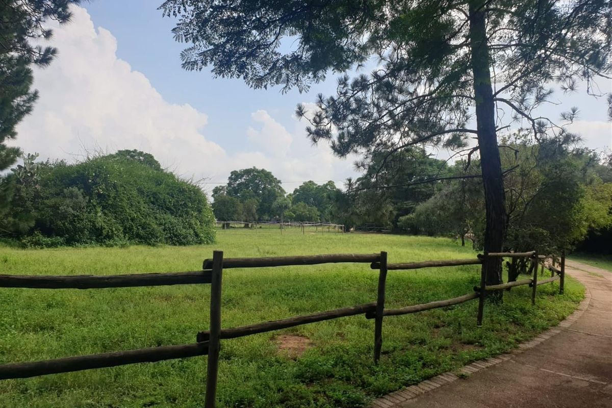 Nooitgedacht Land Assembly - Photo 5