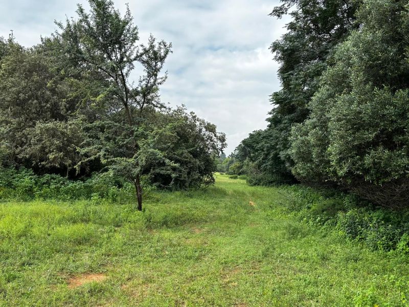 Nooitgedacht Land Assembly - Photo 3