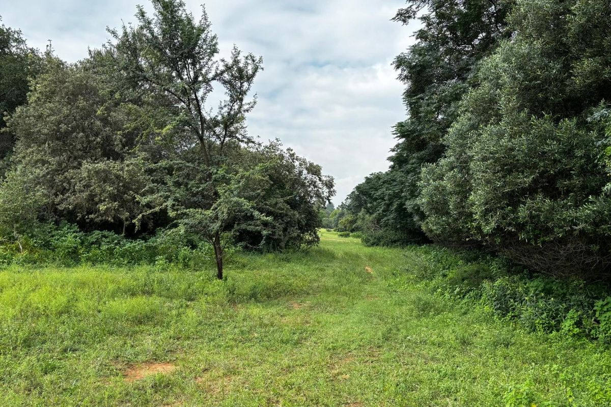 Nooitgedacht Land Assembly - Photo 3