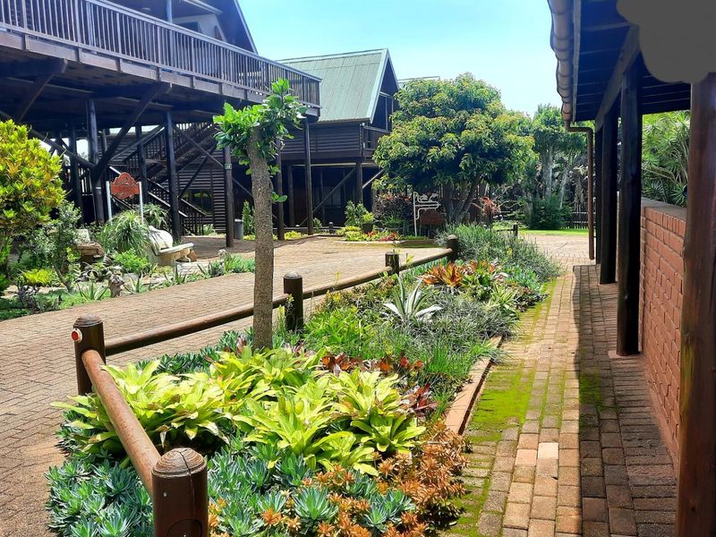 Beautiful upmarket log home with SPECTACULAR sea views! - Photo 5