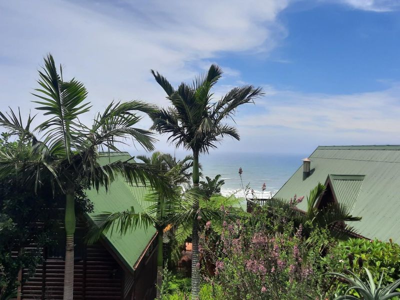 Beautiful upmarket log home with SPECTACULAR sea views! - Photo 10