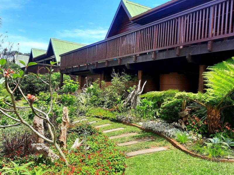 Beautiful upmarket log home with SPECTACULAR sea views! - Photo 4