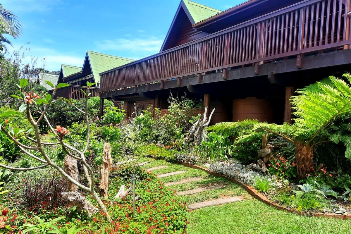 Beautiful upmarket log home with SPECTACULAR sea views! - Photo 4