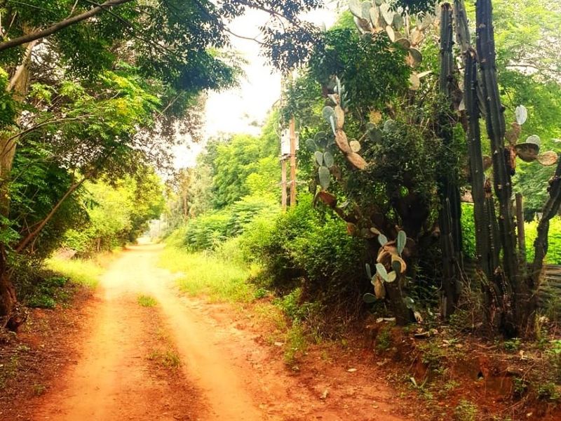 Ptn 11 Nooitgedacht - Photo 6