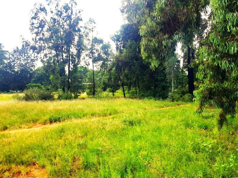 Ptn 11 Nooitgedacht - Photo 9