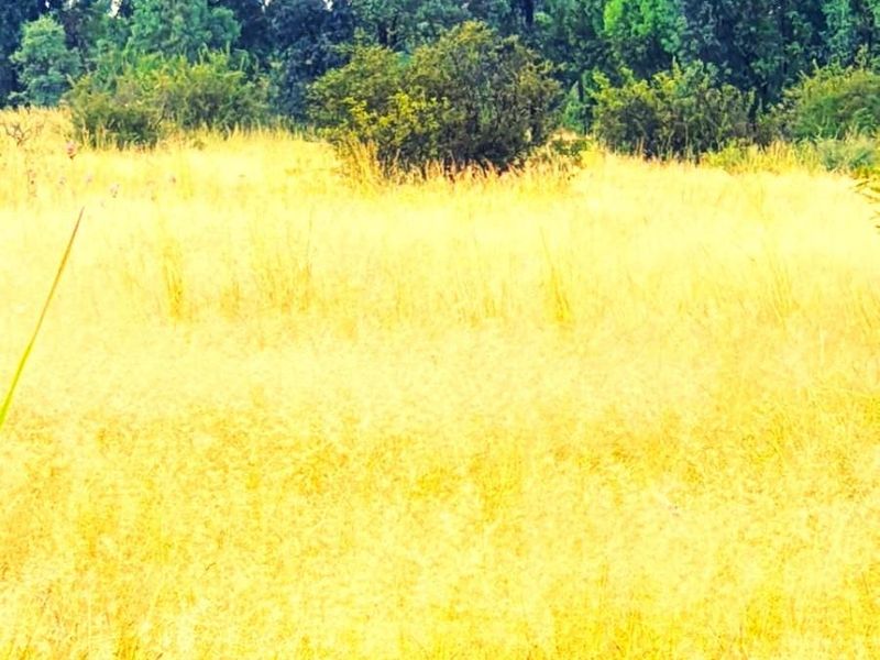 Ptn 11 Nooitgedacht - Photo 5