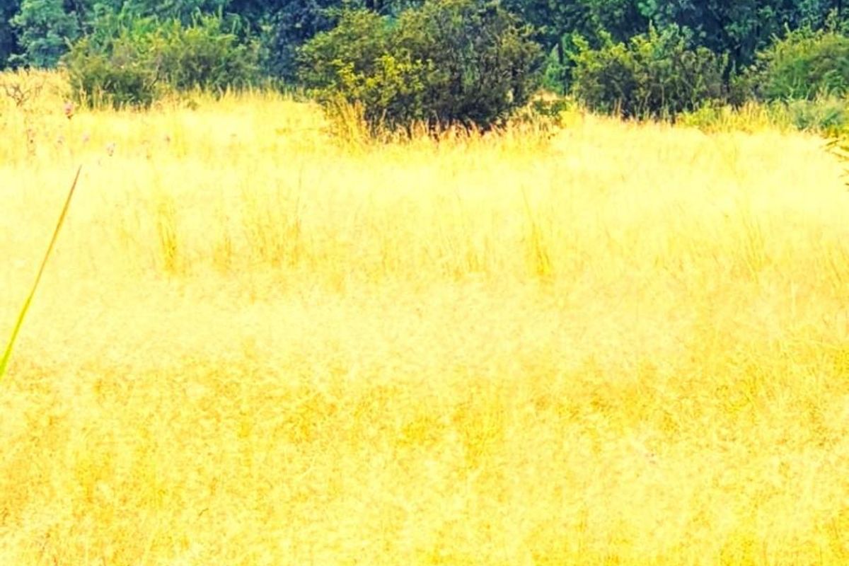 Ptn 11 Nooitgedacht - Photo 5