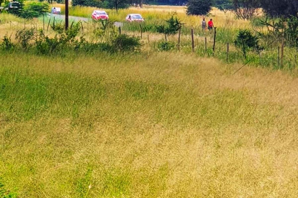 Ptn 11 Nooitgedacht - Photo 4