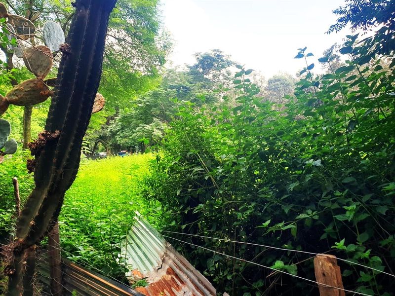 Ptn 11 Nooitgedacht - Photo 8