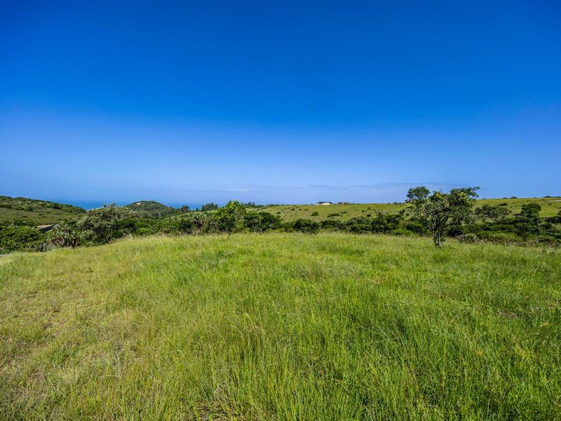 Come Build your dream home in this Upmarket Lifestyle Estate - Cypraea Sands - Photo 7