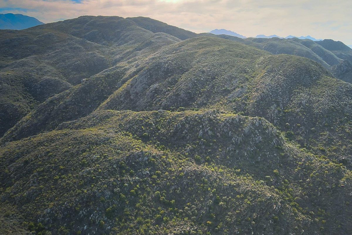 Farm For Sale in Ladismith Rural, Ladismith - Photo 2