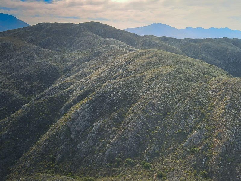 Farm For Sale in Ladismith Rural, Ladismith - Photo 3