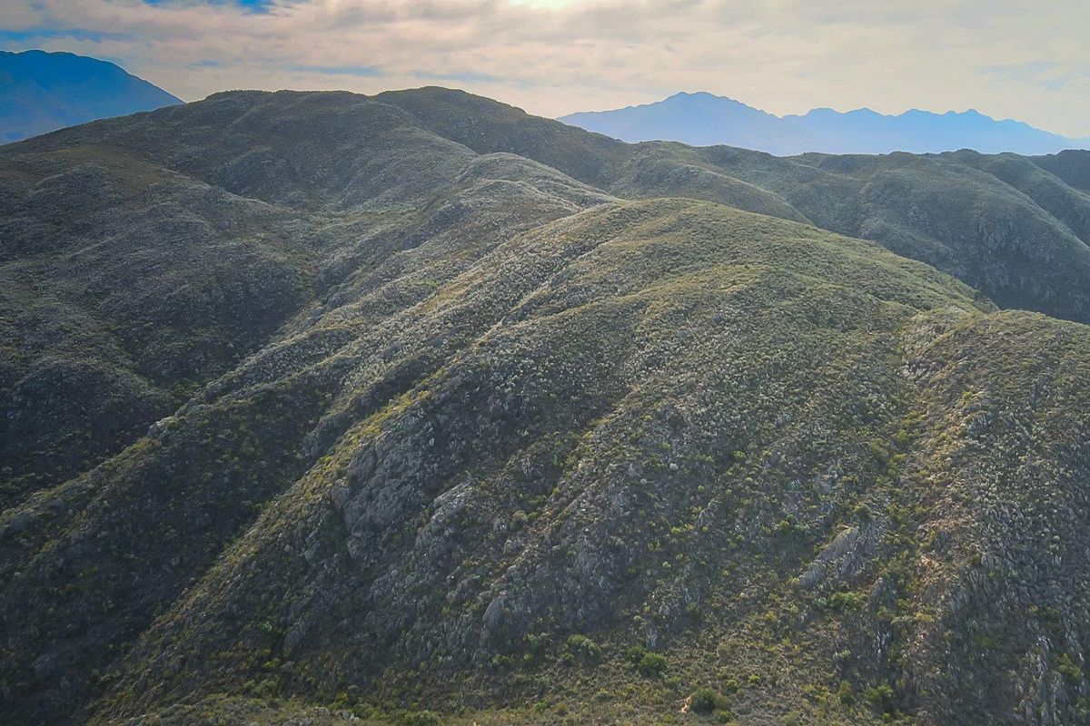 Farm For Sale in Ladismith Rural, Ladismith - Photo 3