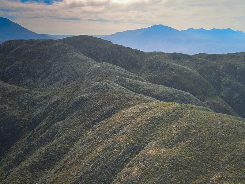 Farm For Sale in Ladismith Rural, Ladismith - Photo 4