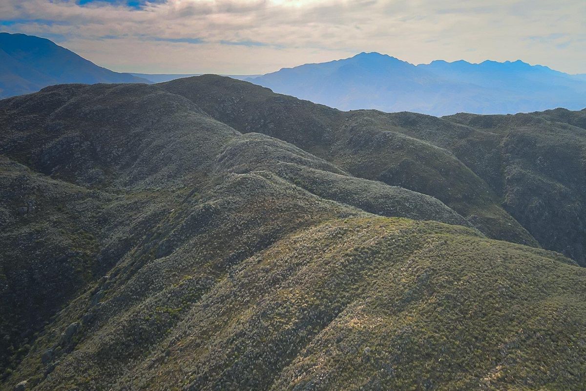 Farm For Sale in Ladismith Rural, Ladismith - Photo 4