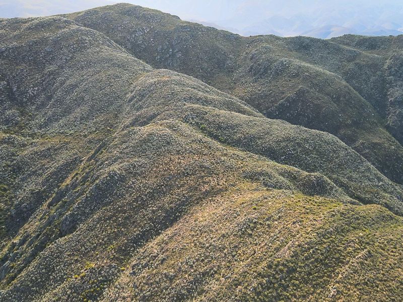Farm For Sale in Ladismith Rural, Ladismith - Photo 5