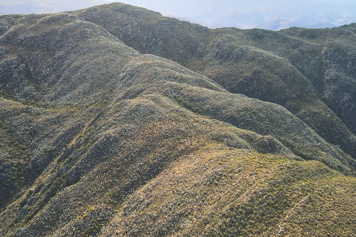 Farm For Sale in Ladismith Rural, Ladismith - Photo 5