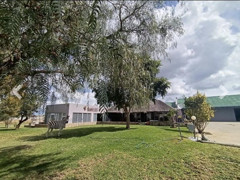 Small Holding For Sale in Metsimaholo, Oranjeville - Photo 8