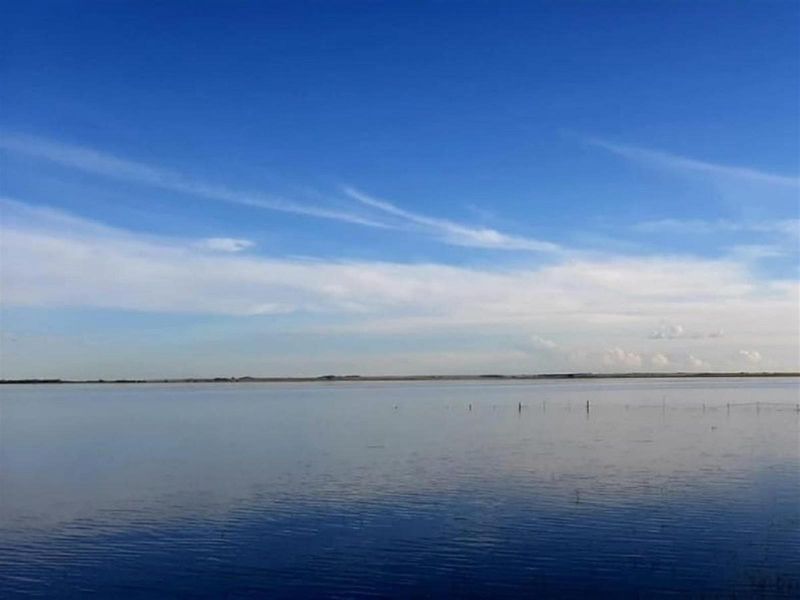 Small Holding For Sale in Metsimaholo, Oranjeville - Photo 7