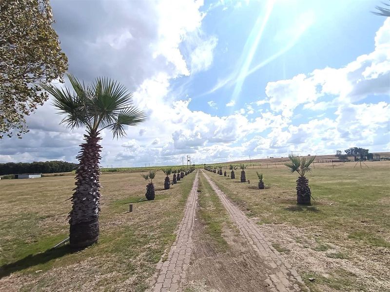 Small Holding For Sale in Metsimaholo, Oranjeville - Photo 9