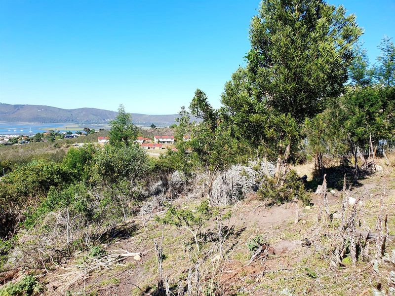 Vacant Land For Sale in Knysna Central, Knysna - Photo 7