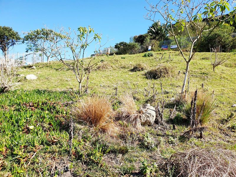 Vacant Land For Sale in Knysna Central, Knysna - Photo 6