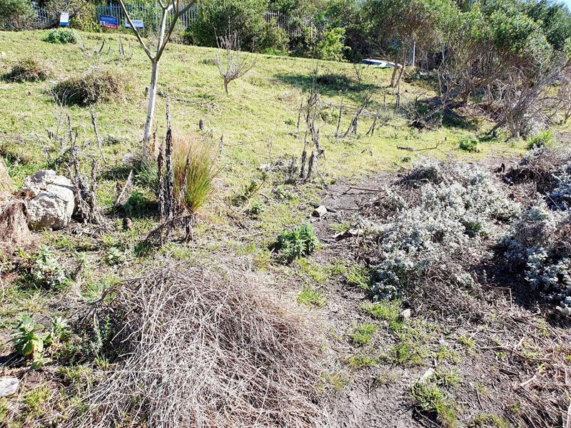 Vacant Land For Sale in Knysna Central, Knysna - Photo 5