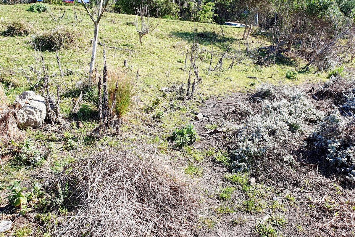 Vacant Land For Sale in Knysna Central, Knysna - Photo 5