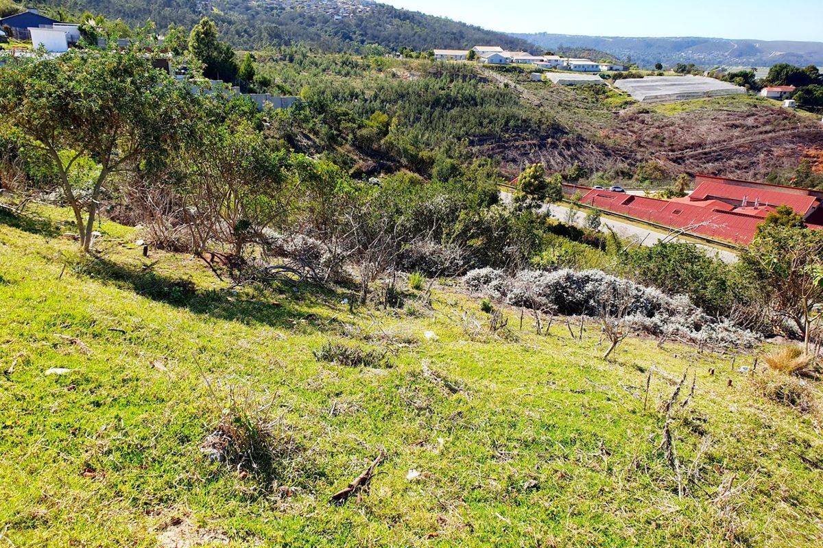 Vacant Land For Sale in Knysna Central, Knysna - Photo 3