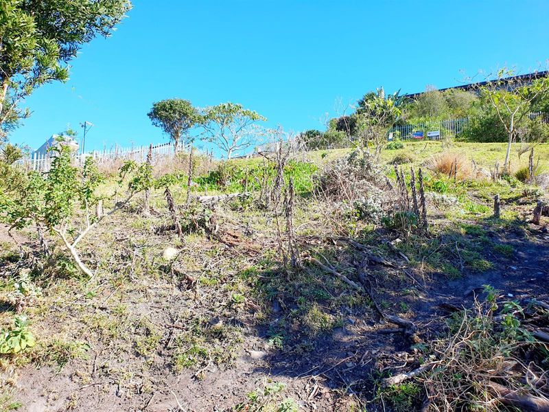 Vacant Land For Sale in Knysna Central, Knysna - Photo 10
